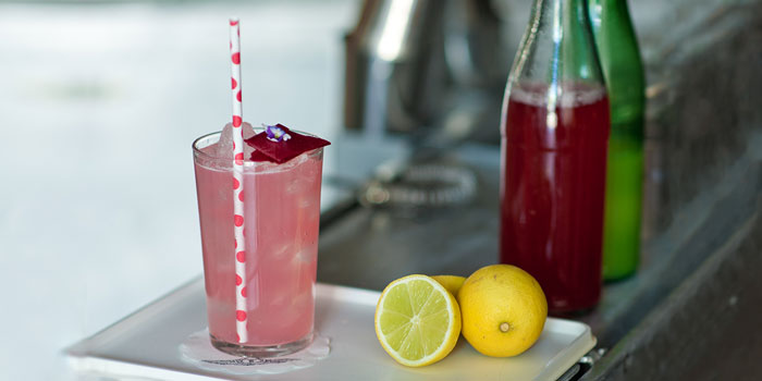 Rhubarb and Anise Myrtle Mocktail